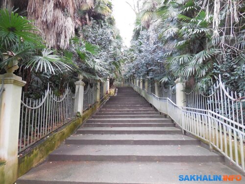 Лестница до знаменитого Сухумского обезьяньего питомника на горе